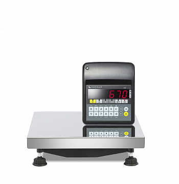 Весы товарные платформенные ПВм-3/30-П, 300х300 RS-232