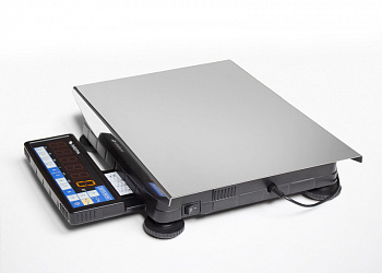 Весы почтовые ВП-I-4/30 c 2 USB ВП-I-4/30 СД (220x300)