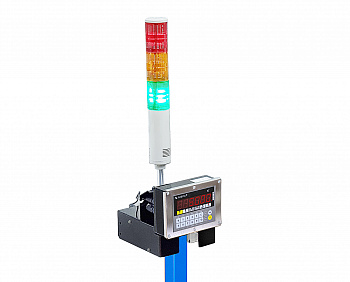 Конвейерные весы с рольгангом ПВм со световой индикацией ПВм-3/600 световая индикация (850Х650)