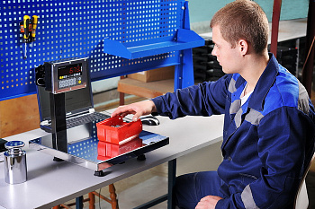 Весы настольные, платформенные ПВм-3/30-П, 300х300, с RS-232, пылевлагозащищенные, антивандальные