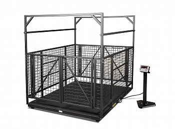 Весы для взвешивания крупного скота МЕРА-ВТП